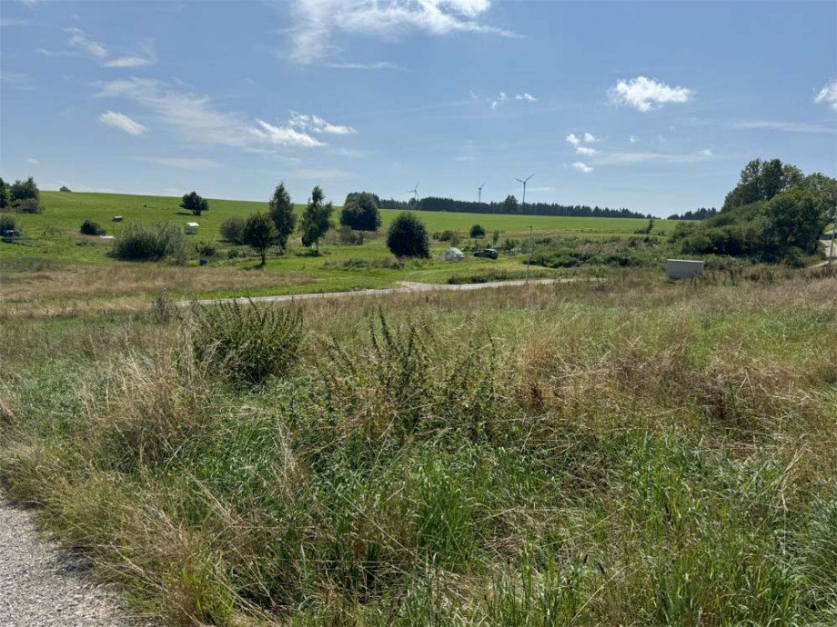 Blick Richtung S�dosten Wohngrundst�ck Oberg�nzburg / Ebersbach